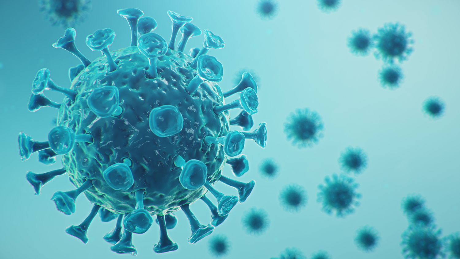 medicina veterinaria em foto coronavirus