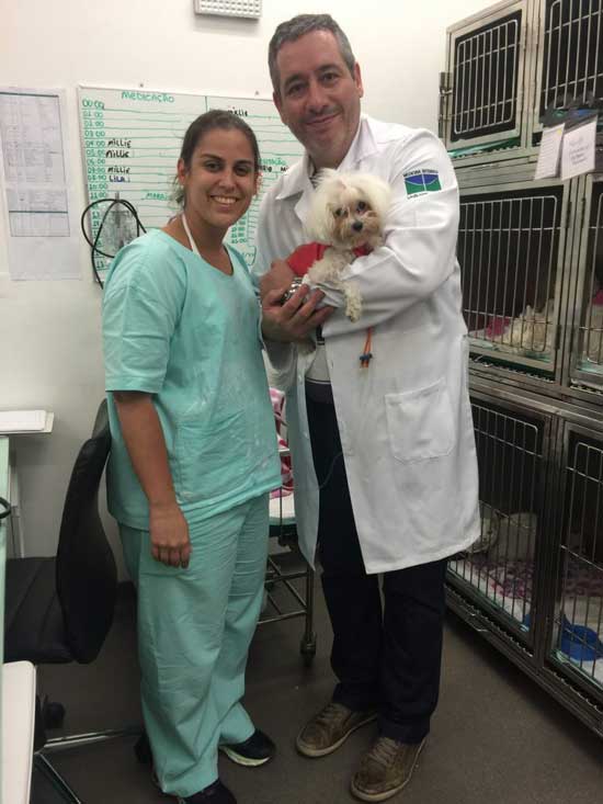 Com muito carinho, rabelo e dra. Tatiana dourado, sócia do intensivet df, em atendimento de paciente na uti. Foto: Intensivet Veterinary Consulting