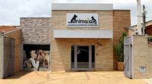 ANIMALAB: PRESTANDO SERVIÇOS AOS VETS DE SP