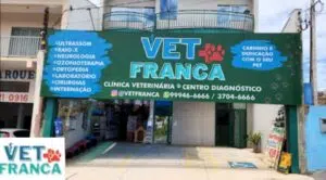 Pets no mercado de trabalho - CãoBoy Clínica Veterinária