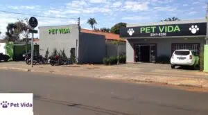 Pets no mercado de trabalho - CãoBoy Clínica Veterinária