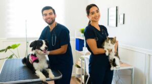 15 TENDÊNCIAS DA MEDICINA VETERINÁRIA PARA 2024