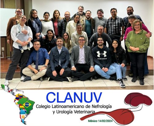 Equipe CBNUV na fundação do Colégio Latino-americano de Nefrologia e Urologia Veterinária